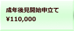 成年後見開始申立て 110,000