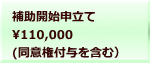 補助開始申立て 110,000 (同意権付与を含む）