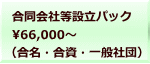 合同会社等設立パック 66,000～ （合名・合資・一般社団）