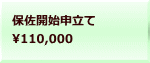 保佐開始申立て 110,000