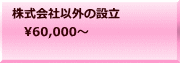 株式会社以外の設立 　60,000～