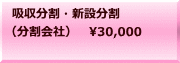 吸収分割・新設分割 （分割会社）　30,000