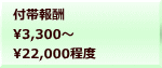 付帯報酬 3,300～ 22,000程度